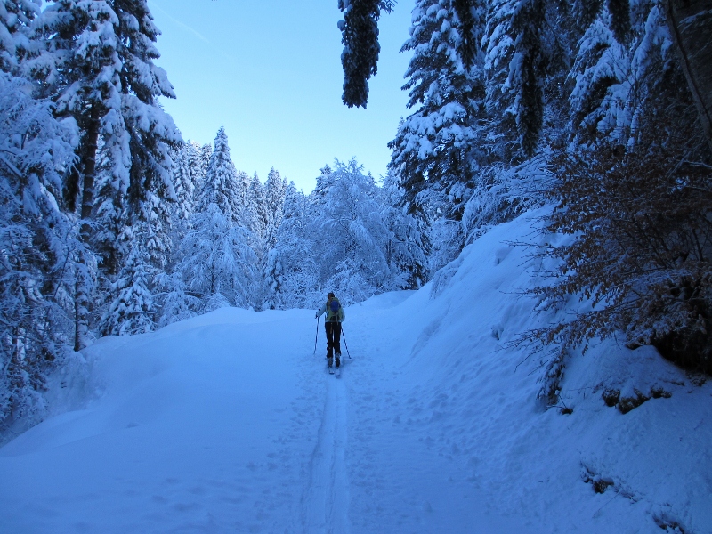 #1 Au départ: : La neige à recouvert les arbres. Au départ: : La neige à recouvert les arbres.