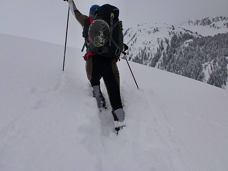 #2 col du loup : petit mais costaud!!! col du loup : petit mais costaud!!!