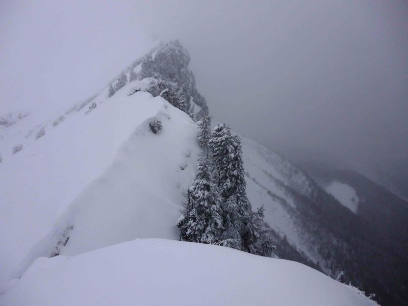 #4 arête : et dire que le 15 novembre dernier, j arête : et dire que le 15 novembre dernier, j'étais avec Fan sur cette arête à califourchon...
