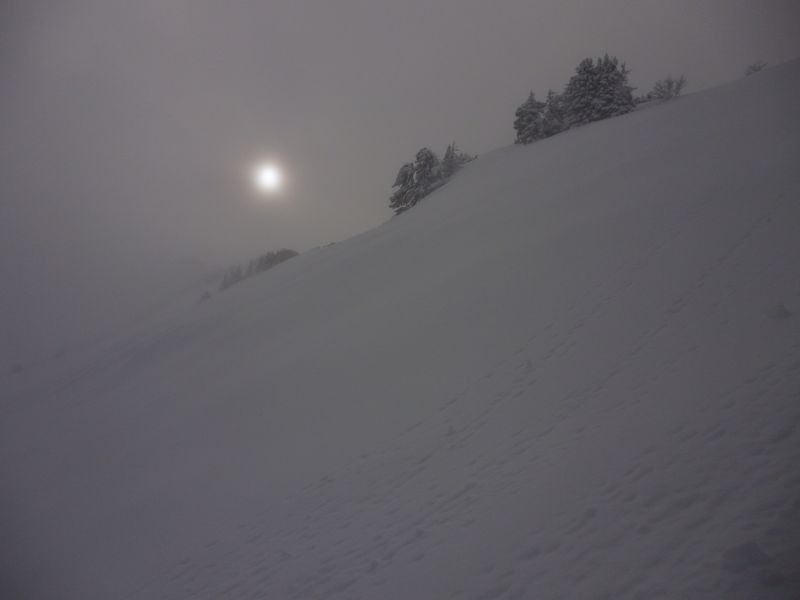 #3 el sol : et oui, des fois, il apparaît. el sol : et oui, des fois, il apparaît.