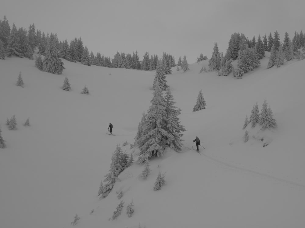 #4 Montée à Leschaux : Il fait gris. Montée à Leschaux : Il fait gris.