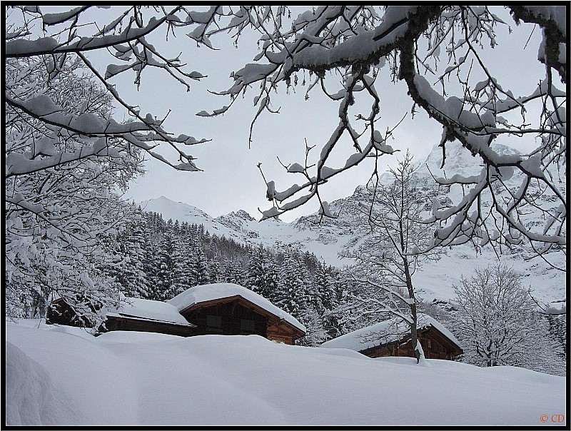#2 Arrivée aux chalets : d Arrivée aux chalets : d'Armancette. Ici, bien monter tout droit, passer à gauche des chalets, et tout droit !