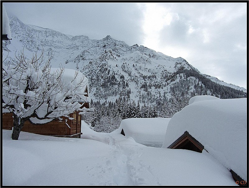 #3 Un "bon" enneigement : à 1530 m Un "bon" enneigement : à 1530 m