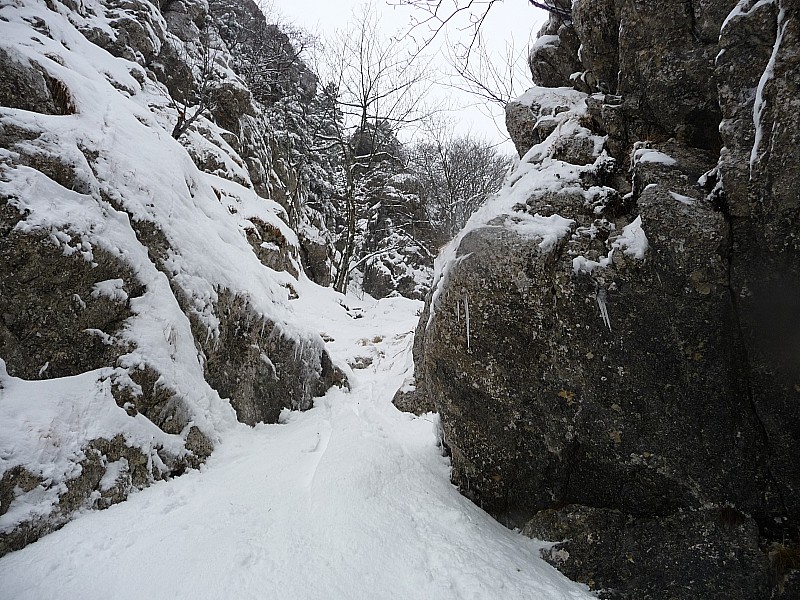 #4 Etroiture Etroiture