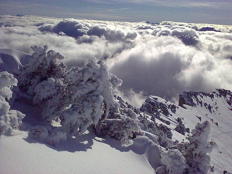 #1 au dessus des nuages : Toujours aussi beau au dessus des nuages : Toujours aussi beau