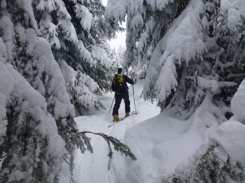 #5 Petit Croise Baulet : Il faut se frayer un passage, sans se faire tomber les paquets de neige suspendus aux branches Petit Croise Baulet : Il faut se frayer un passage, sans se faire tomber les paquets de neige suspendus aux branches