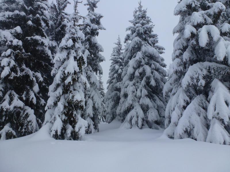 #1 Petit Croise Baulet : De la neige, il y en a ! Petit Croise Baulet : De la neige, il y en a !