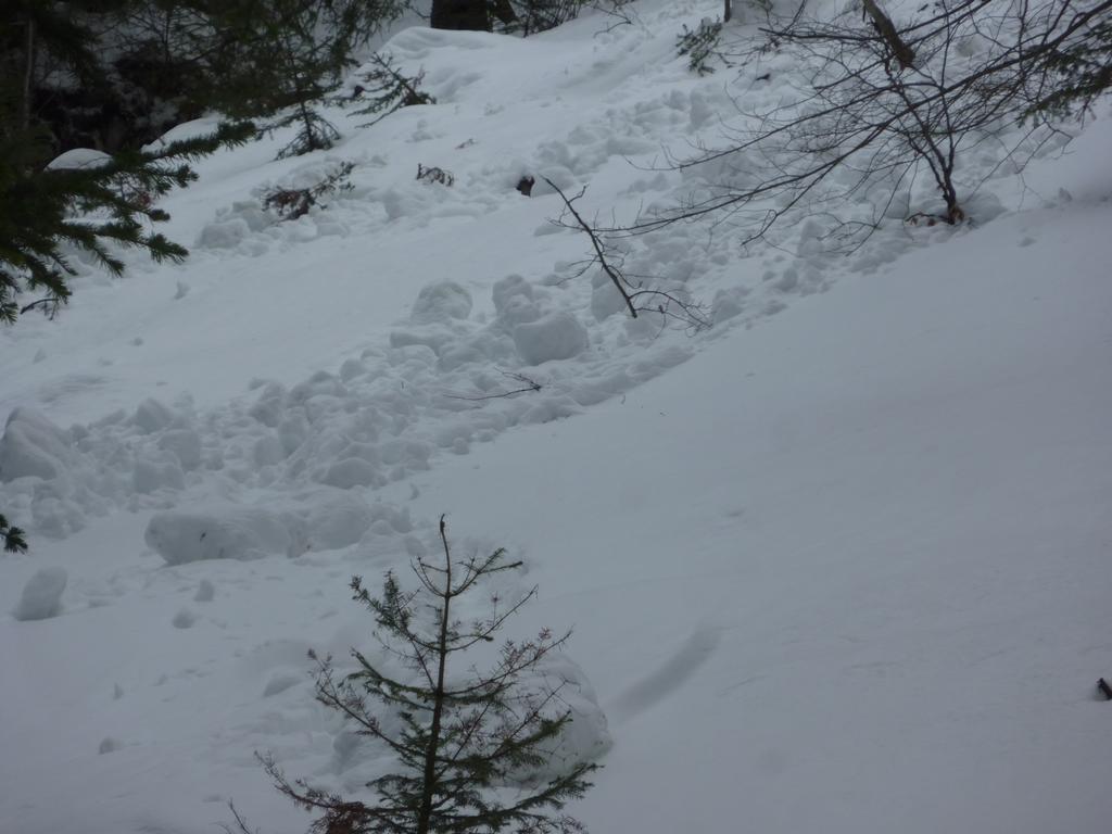 #2 Coulée : Coulée forestière partie 300m en contre-haut. Coulée : Coulée forestière partie 300m en contre-haut.
