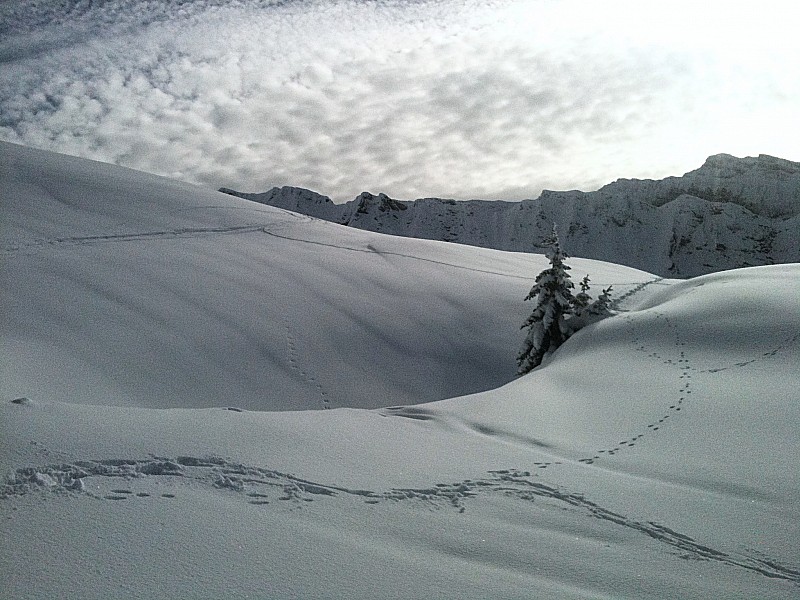 #2 Face aux Dents d Face aux Dents d'Oddaz : Vers 1800m... On voit que la neige est encore un peu lourde !