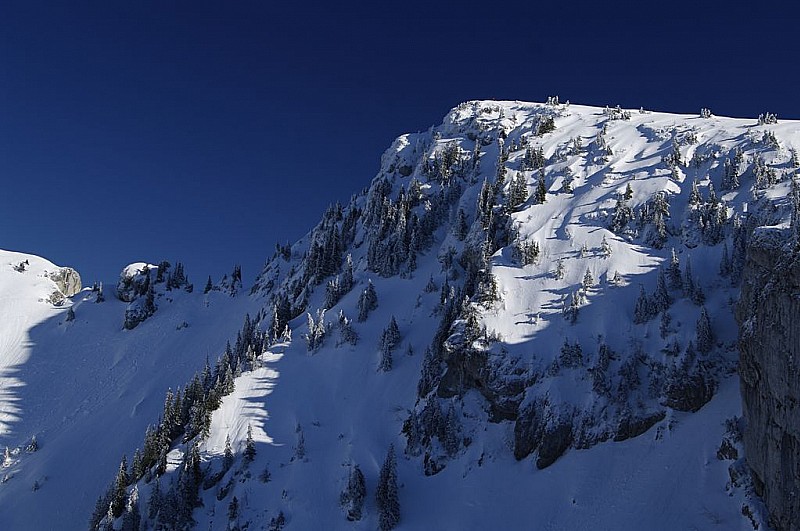 #5 Splendide ciel : et sapins blancs Splendide ciel : et sapins blancs
