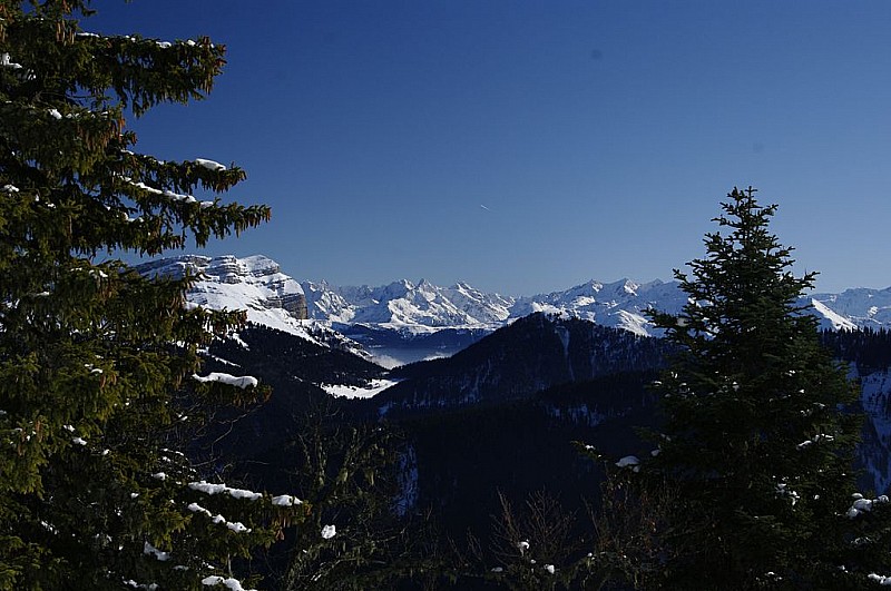 #1 Chartreuses : et Belledonne Chartreuses : et Belledonne