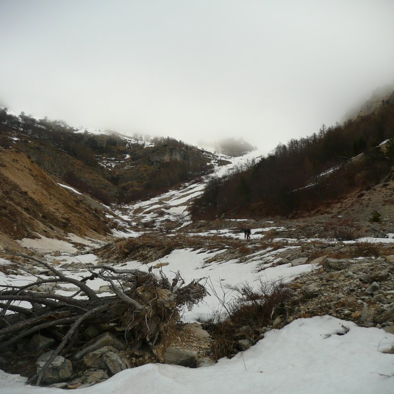 #2 Combe de Mai : On ne peut envisager de monter à ski qu Combe de Mai : On ne peut envisager de monter à ski qu'à partir de 1500 m, au fond sur le photo, là où la pente s'accentue.