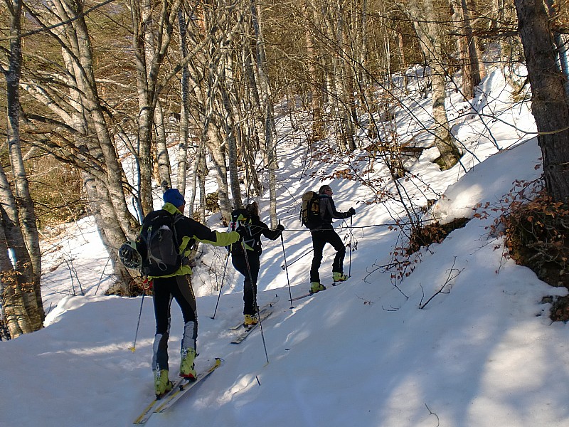 #1 pointe des arangles : depart dans la foret par le chemin en direction du mont d pointe des arangles : depart dans la foret par le chemin en direction du mont d'en haut