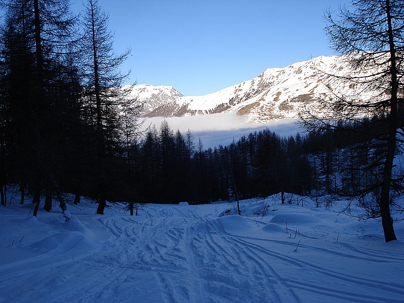 #1 sortie forêt : à la sortie de la forêt nuage sur champsaur sortie forêt : à la sortie de la forêt nuage sur champsaur