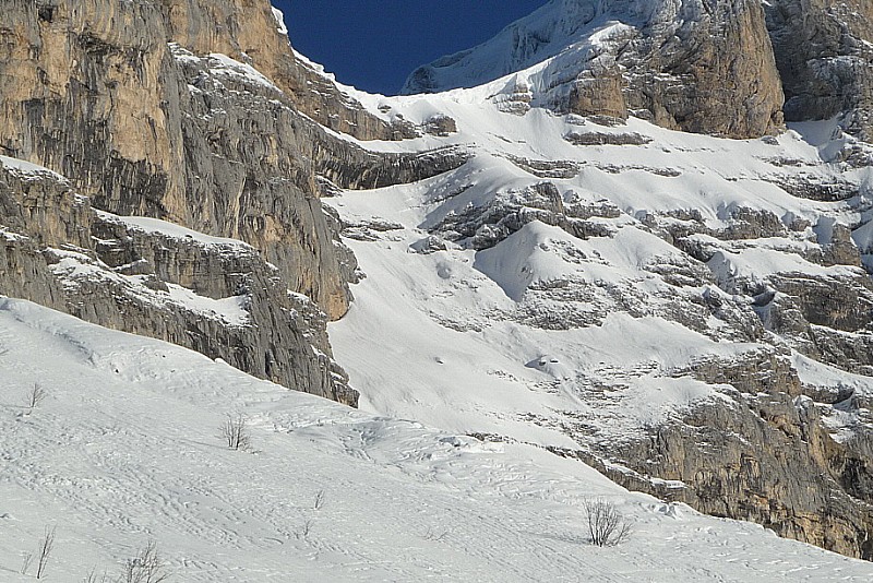 #3 grande moucherolle sud : un etat des lieux, pas si mal à priori grande moucherolle sud : un etat des lieux, pas si mal à priori