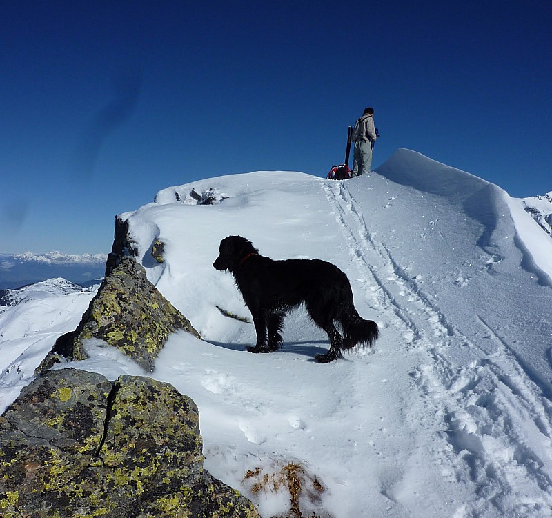 #4 Jas des Lièvres : Un des participants n Jas des Lièvres : Un des participants n'avait pas besoin de skis...