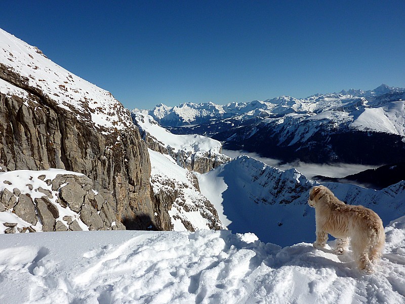 #4 pointe du midi : finot étudie la pente pointe du midi : finot étudie la pente