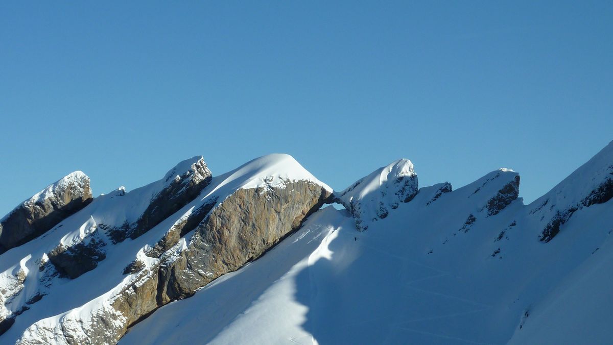 #2 Mou de la Trouche : premiere personne arrivée, premiere servie ! Mou de la Trouche : premiere personne arrivée, premiere servie !