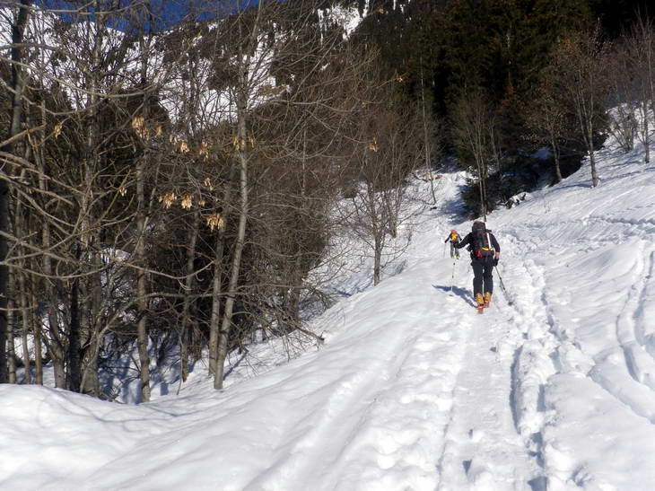 #1 Piste! : Bon, ben on sent que le retour va être coton! Piste! : Bon, ben on sent que le retour va être coton!