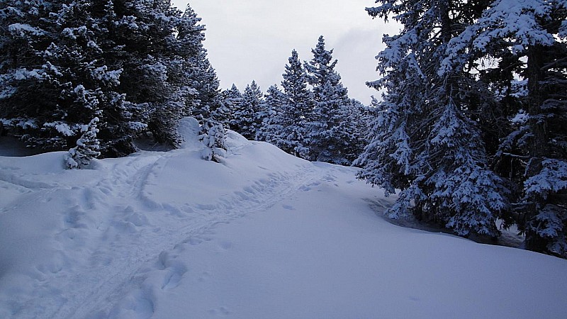 #1 Montée au lac Achard : Ca passe tout à skis dans la foret Montée au lac Achard : Ca passe tout à skis dans la foret