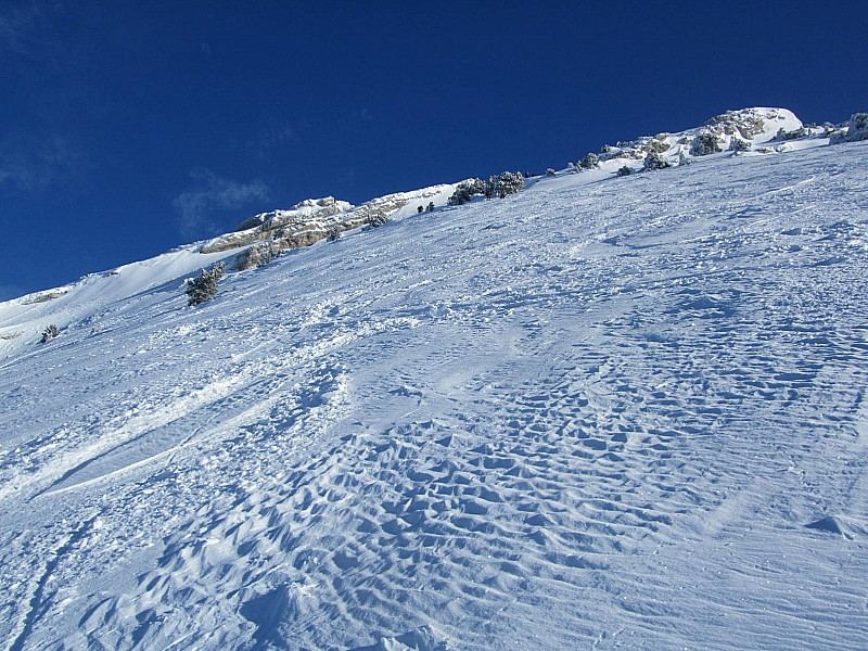 #5 dernière partie : chacun se fera son opinion sur la neigede ce matin dernière partie : chacun se fera son opinion sur la neigede ce matin