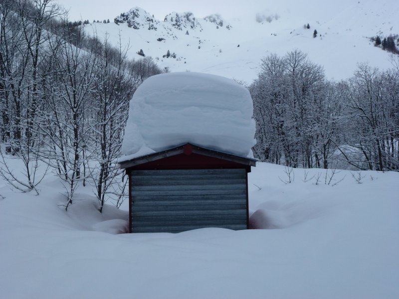 #12 Le Foron d Le Foron d'en bas (1350) : Quand on vous dit qu'il y a de la neige...