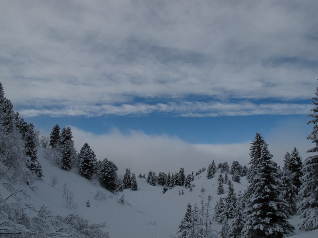 #1 Ciel Bleu Ciel Bleu