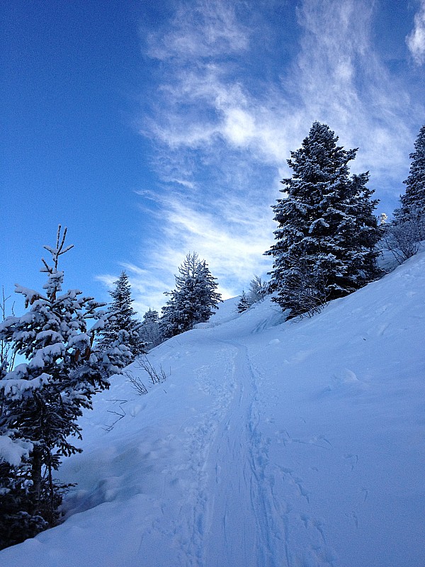 #1 Ciel bleu : prévisions météo france ? Ciel bleu : prévisions météo france ?