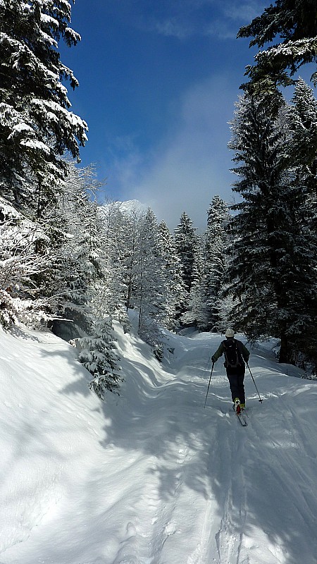#1 colombier 1 : au sortir de la forêt colombier 1 : au sortir de la forêt