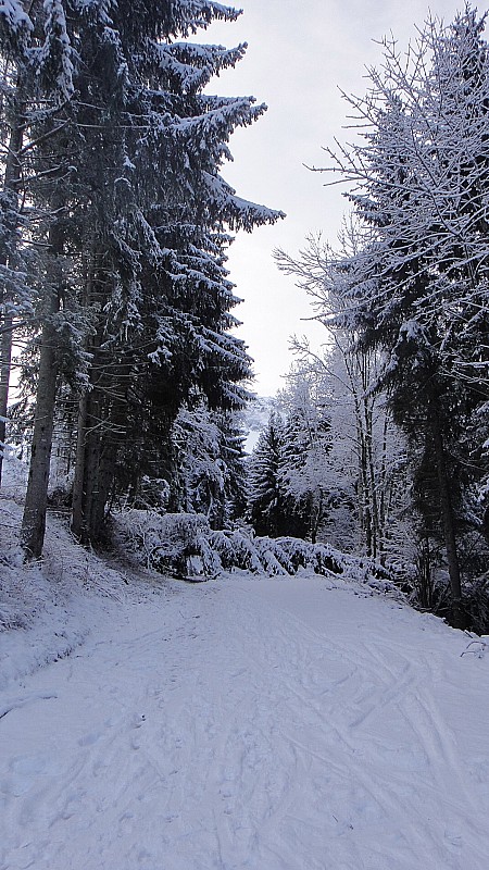 #1 La route : juste une couche pas plus La route : juste une couche pas plus