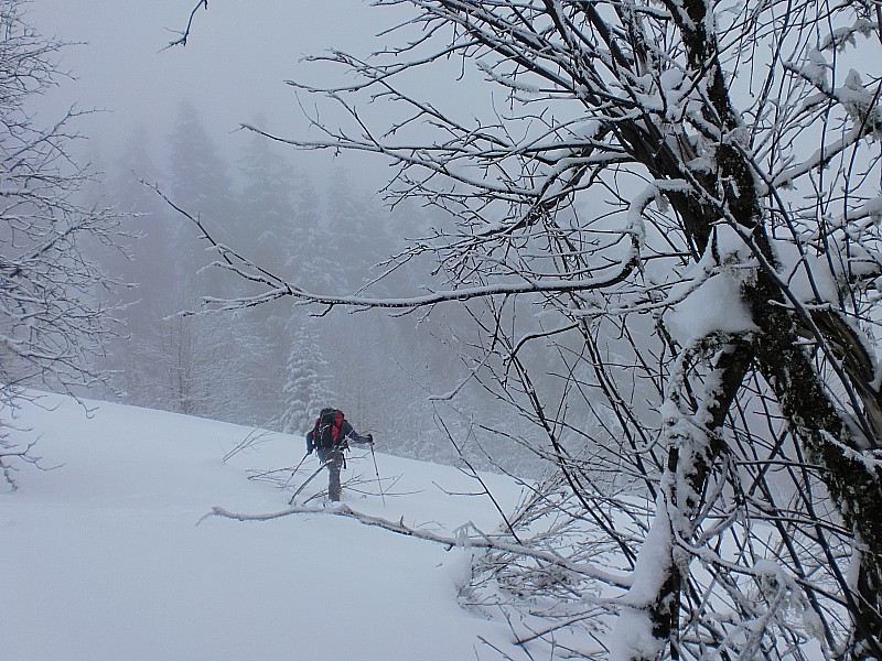 #3 crève tête : billy a la trace crève tête : billy a la trace