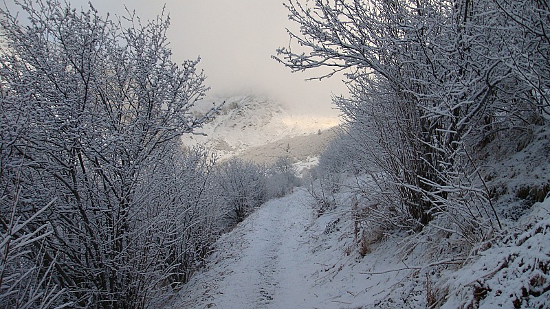 #1 Départ : Pas beaucoup de neige certes, mais tout de même un paysage inespéré ! Départ : Pas beaucoup de neige certes, mais tout de même un paysage inespéré !