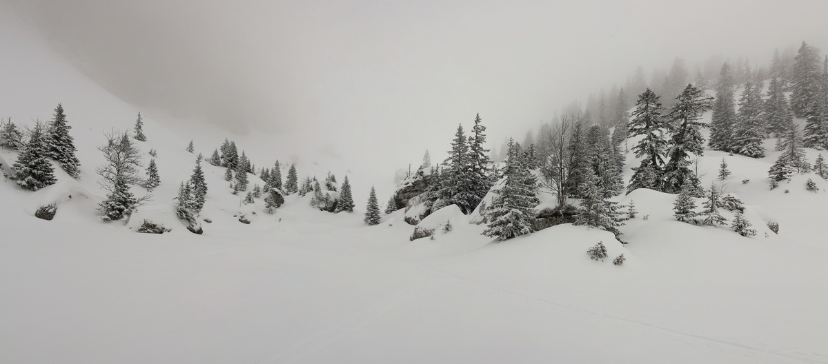 #4 Vallon nord du Mauvernay : Mignon Vallon nord du Mauvernay : Mignon