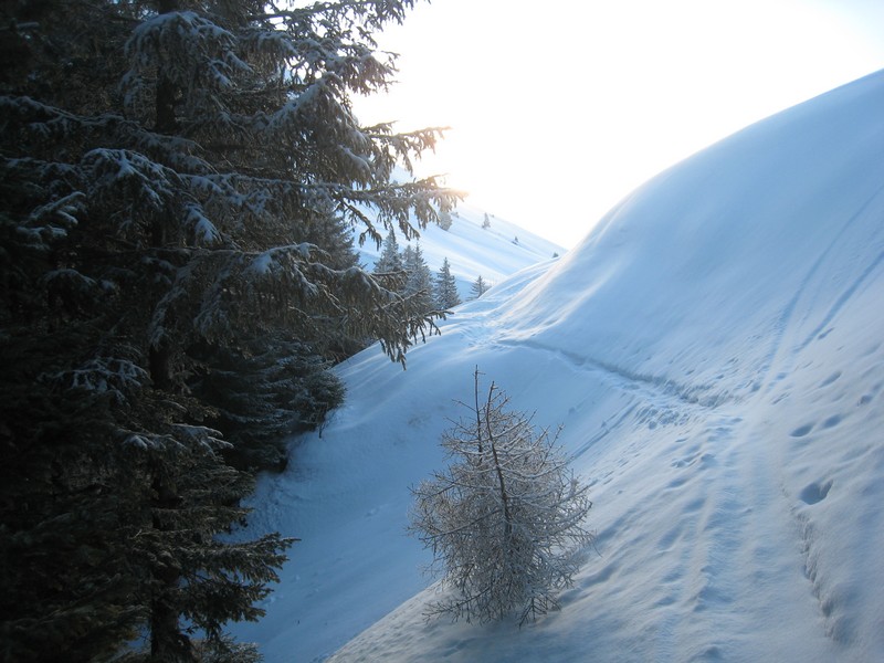 #1 Arrivée au col : Col des Ayes Arrivée au col : Col des Ayes