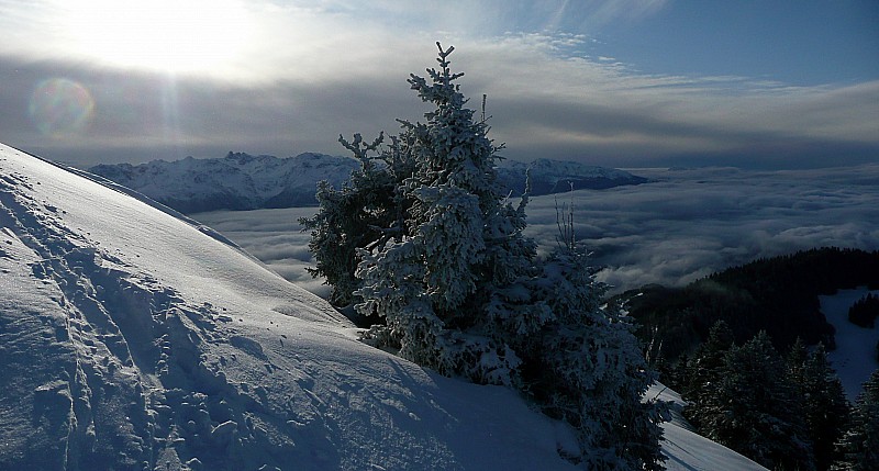 #10 Contre-jour : Pleins les yeux Contre-jour : Pleins les yeux