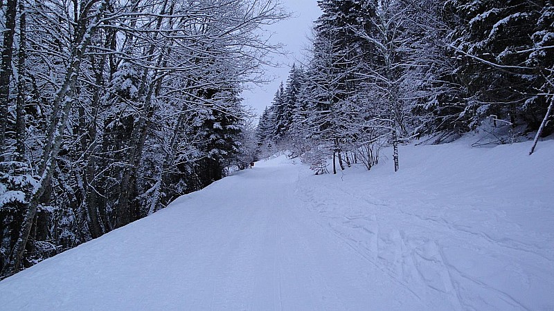 #1 Piste verte : Le début est agréable mais... Piste verte : Le début est agréable mais...