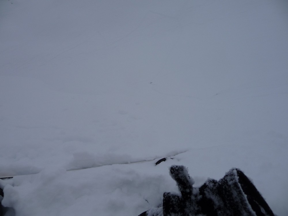 #6 faut passer où? : pour ce faire une idée de la visibilité :je vois mes skis d faut passer où? : pour ce faire une idée de la visibilité :je vois mes skis d'approches en bas mais trop la pente :et je sais que tout droit c'est une petite barre rocheuse