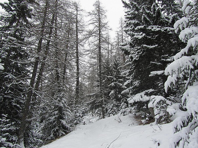 #2 Croix de Carlé : Un peu de neige c Croix de Carlé : Un peu de neige c'est bien