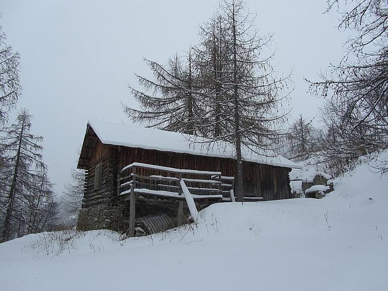 #3 Croix de Carlé : Vieille cabane sur le parcours Croix de Carlé : Vieille cabane sur le parcours