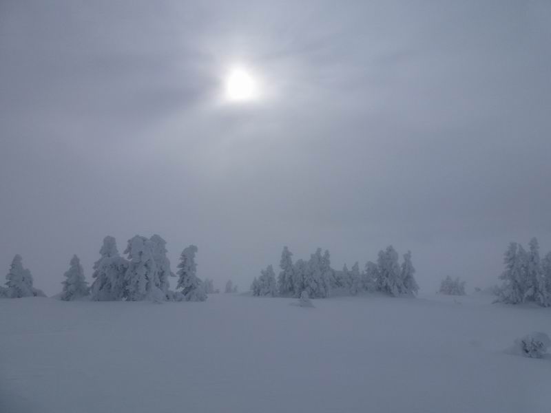 #3 Sous Dine : Paysage d Sous Dine : Paysage d'hiver à Sous Dine