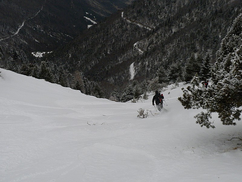 #7 poudre... : **** poudre... : ****