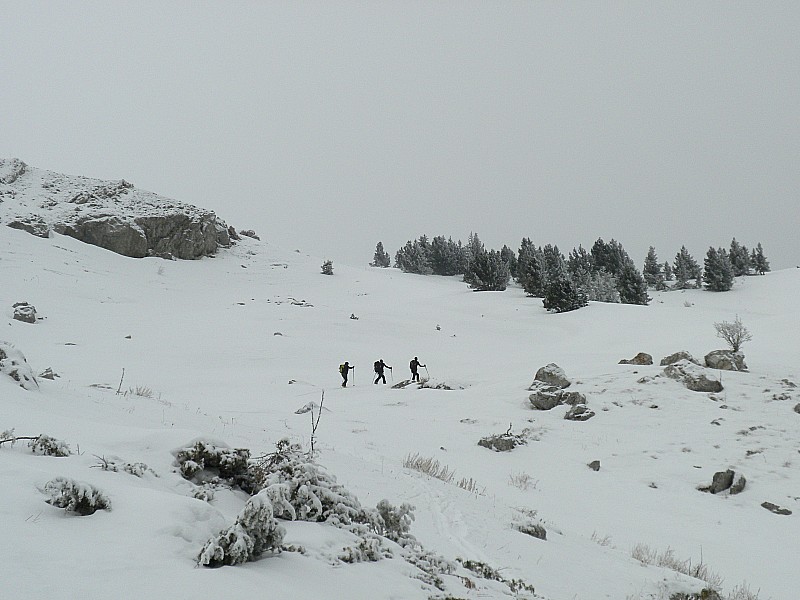 #10 tracage : ça monte vite... tracage : ça monte vite...
