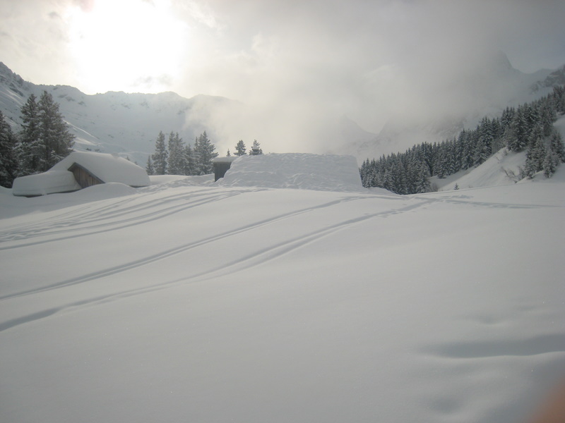 #1 neige et lumière : neige et lumières :) neige et lumière : neige et lumières :)