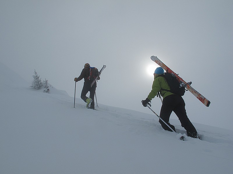 #5 Montée à la Petite Chaurionde : Sur la croupe Montée à la Petite Chaurionde : Sur la croupe