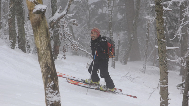 #3 numax : Technique la forêt numax : Technique la forêt