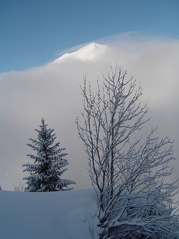 #3 Pointe d Pointe d'Almet hors des brumes