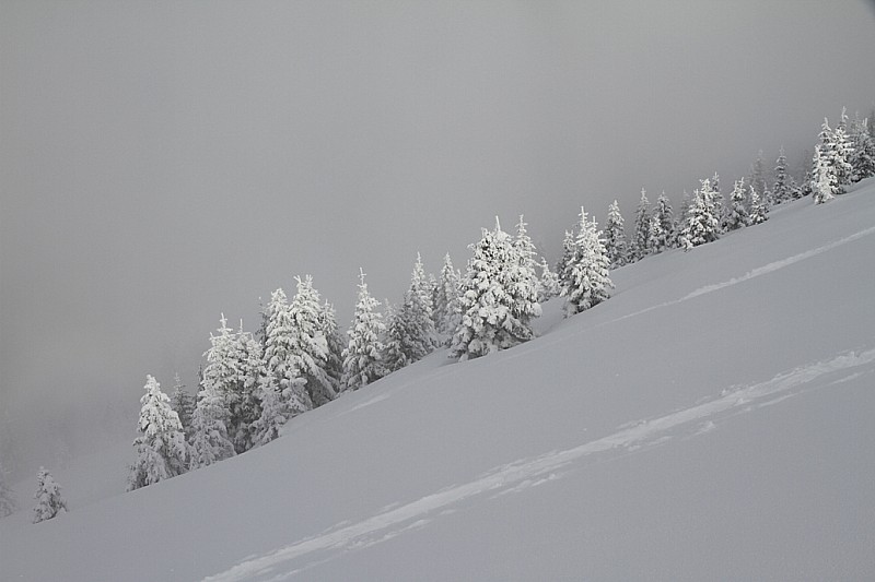 #1 Hiver : Y a même du soleil au-dessus de 1900m Hiver : Y a même du soleil au-dessus de 1900m