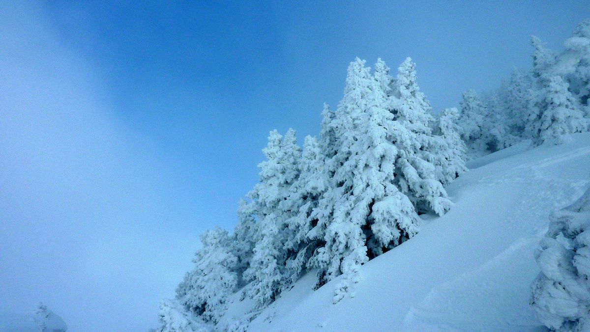 #5 Bleu : la trouée fut breve... mais les chous fleurs n Bleu : la trouée fut breve... mais les chous fleurs n'ont rien à envier à ceux de Chamechaude