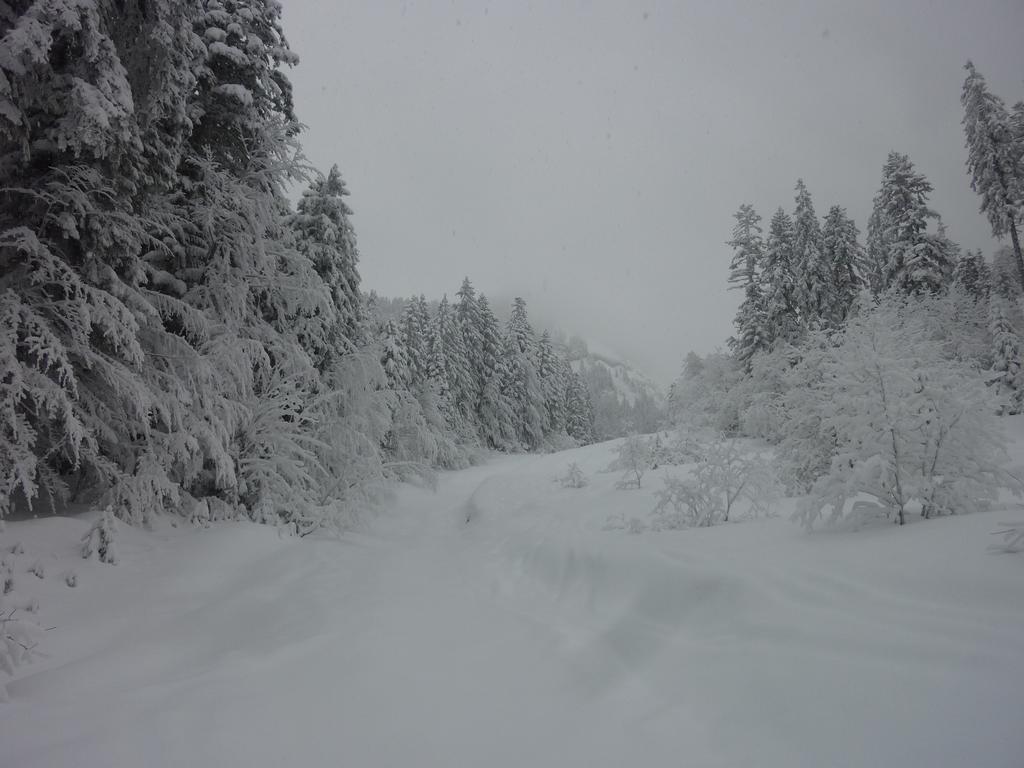 #1 Départ : Neigeux mais luminosité correcte au départ Départ : Neigeux mais luminosité correcte au départ
