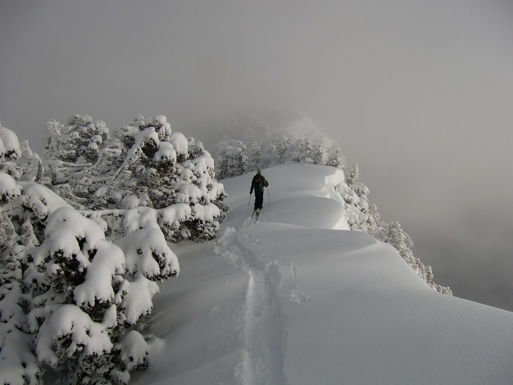 Crête de l'Aulp du Seuil : A la recherche des couloirs (ph. Guigui)